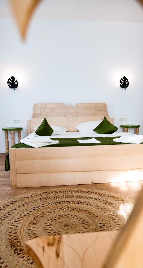 Conacul Olarilor Bed & Breakfast Baia de Fier Dış mekan fotoğraf