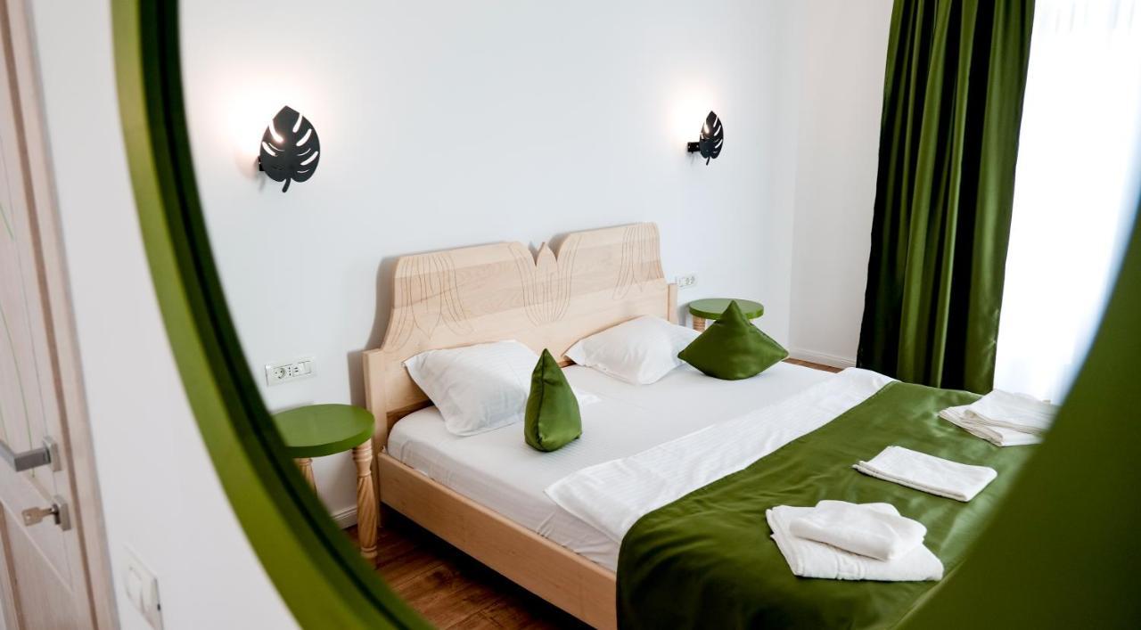 Conacul Olarilor Bed & Breakfast Baia de Fier Dış mekan fotoğraf